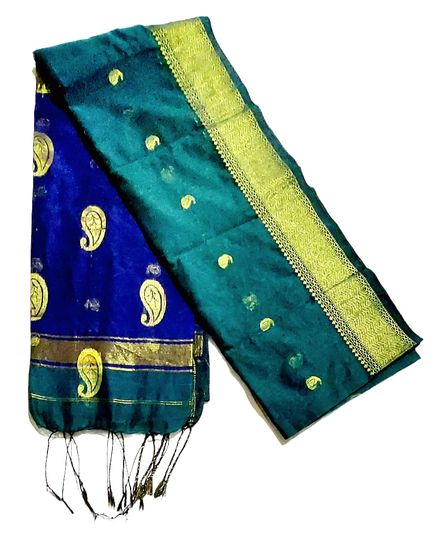 Maheshwari Cotton Silk Saree with Contrast Blouse & Contrast Pallu